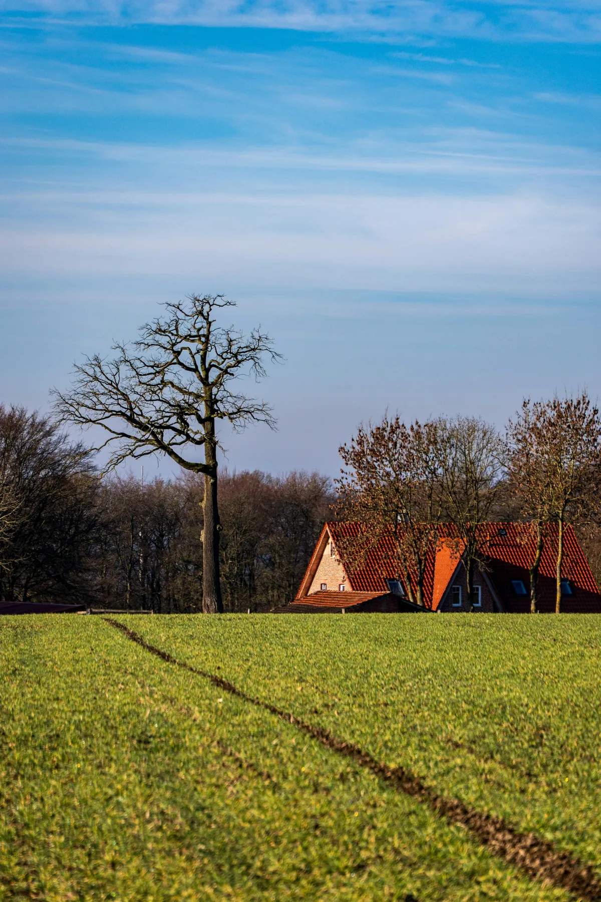 Maison dans la nature symbolisant la liberté financière